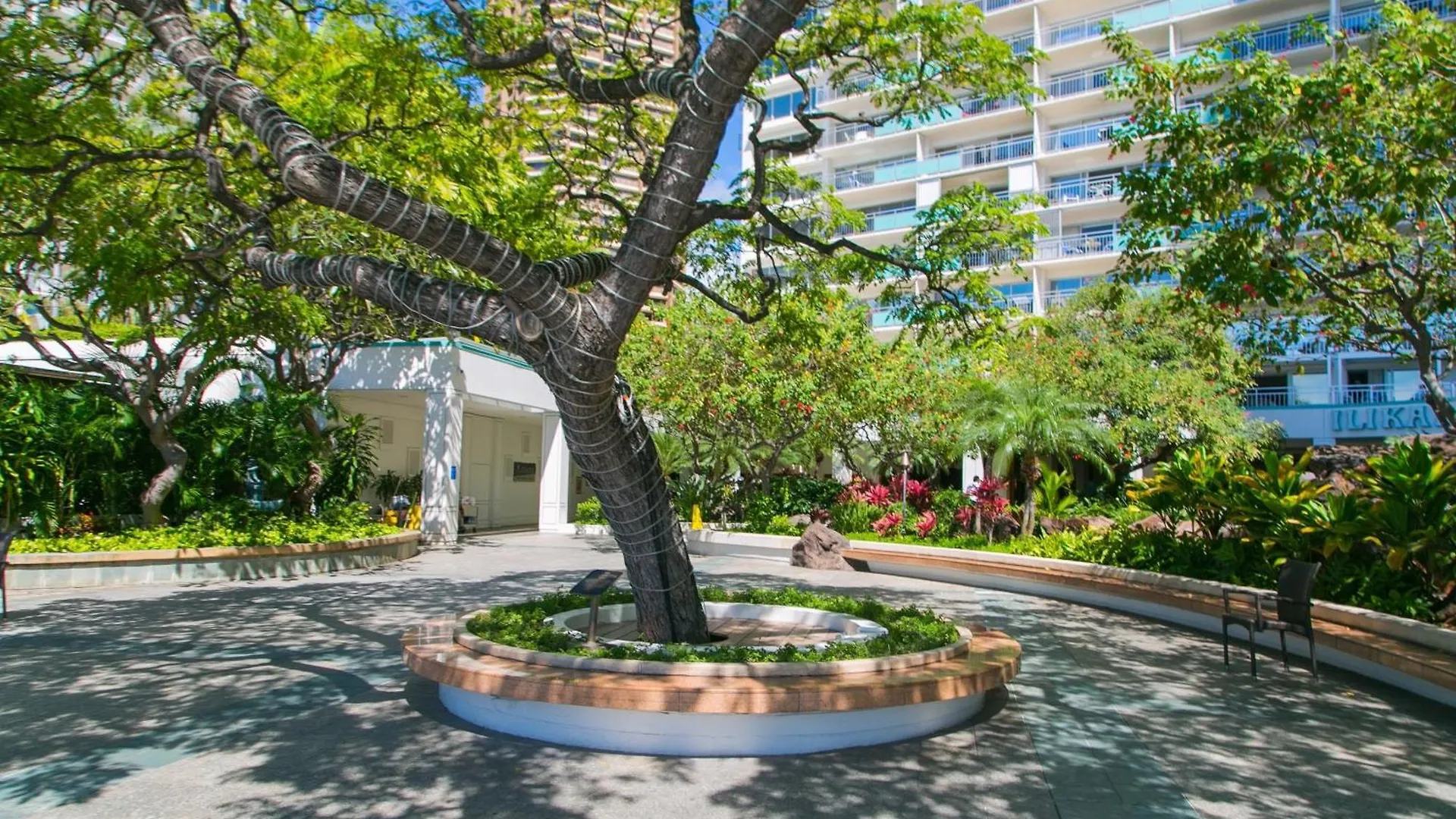 Ilikai Tower 1936 Condo Honolulu 0*,